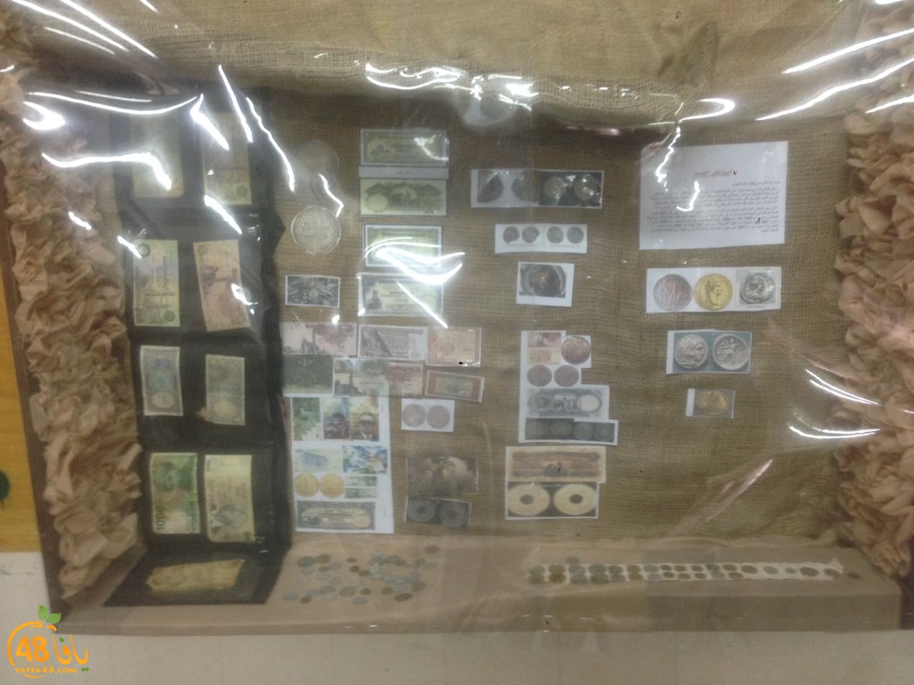 torathehwja (11).jpg